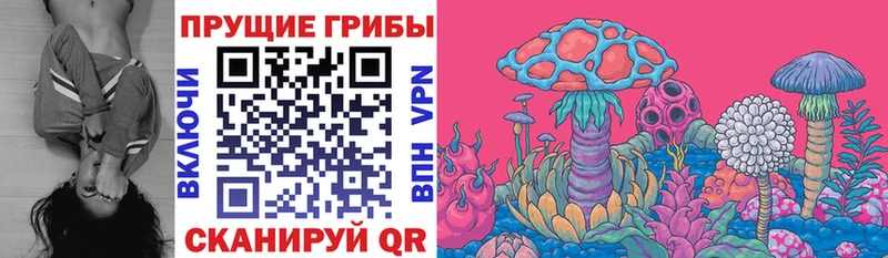 Купить закладки  Зеленодольск  Галлюциногенные грибы Psilocybine cubensis 
